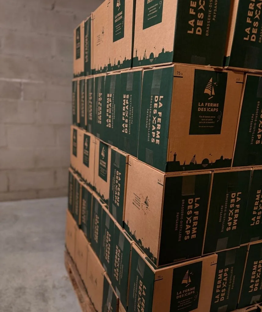 Caisse américaine carton 24 bouteilles à l'effigie de la marque Les Brasseurs Bretons